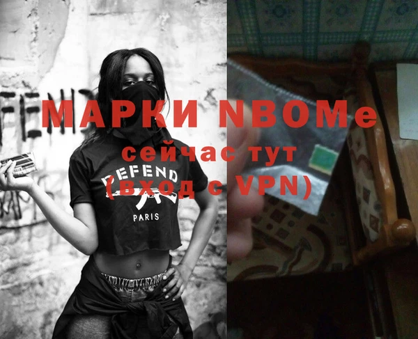метадон Алексин