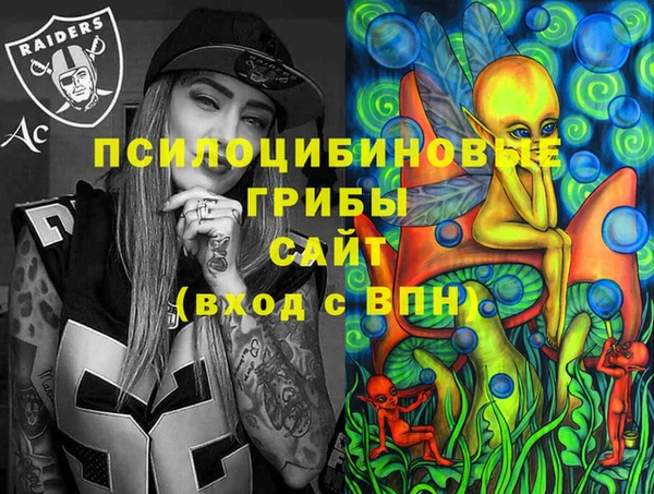 крисы Алзамай