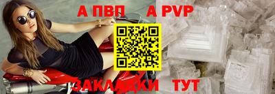 СК Кингисепп