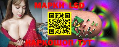 СК Кингисепп