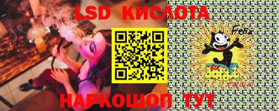 СК Кингисепп