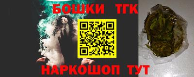 СК Кингисепп