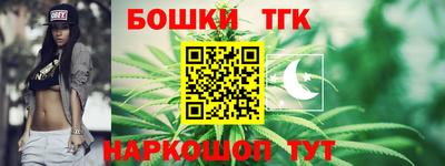 СК Кингисепп