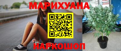 ПСИЛОЦИБИНОВЫЕ ГРИБЫ Кинель