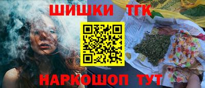 СК Кингисепп
