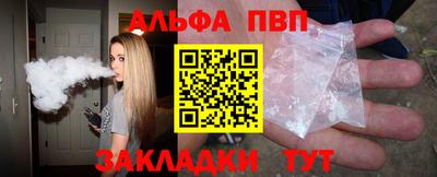 СК Кингисепп