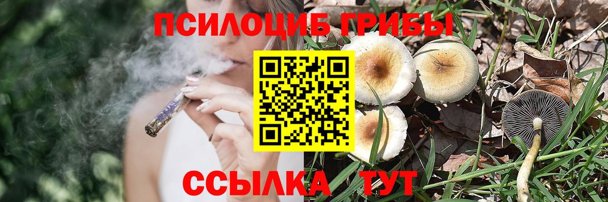 Псилоцибиновые грибы Cubensis Ярцево