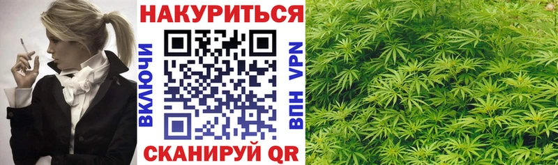 Марихуана сатива  продажа наркотиков  Ярцево 